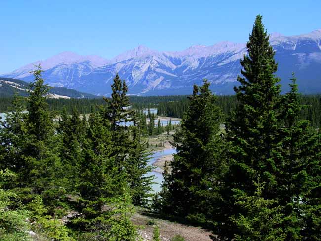 roadside-to-maligne-lake-02