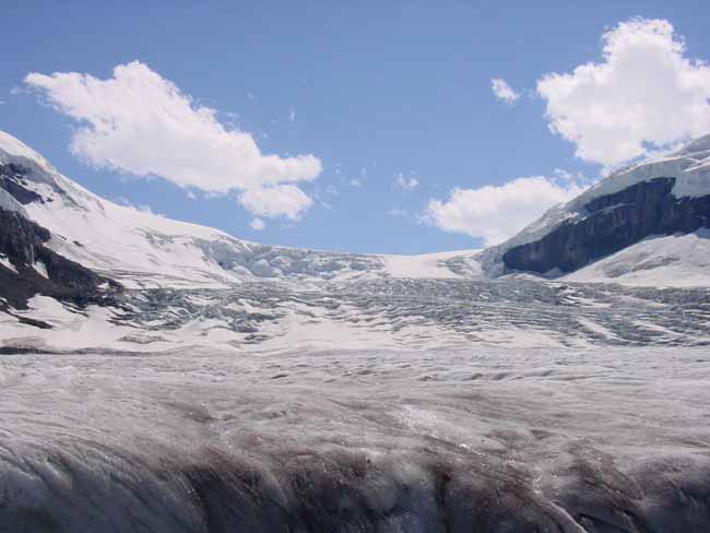 columbia-icefields-11