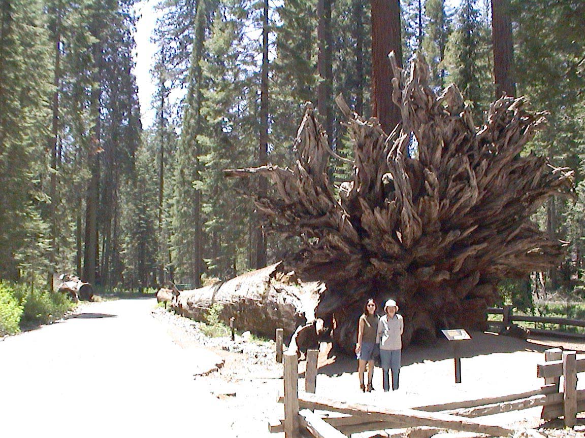 Yosemite-2001-128