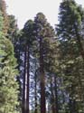 Yosemite-2001-115