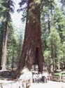 Yosemite-2001-122